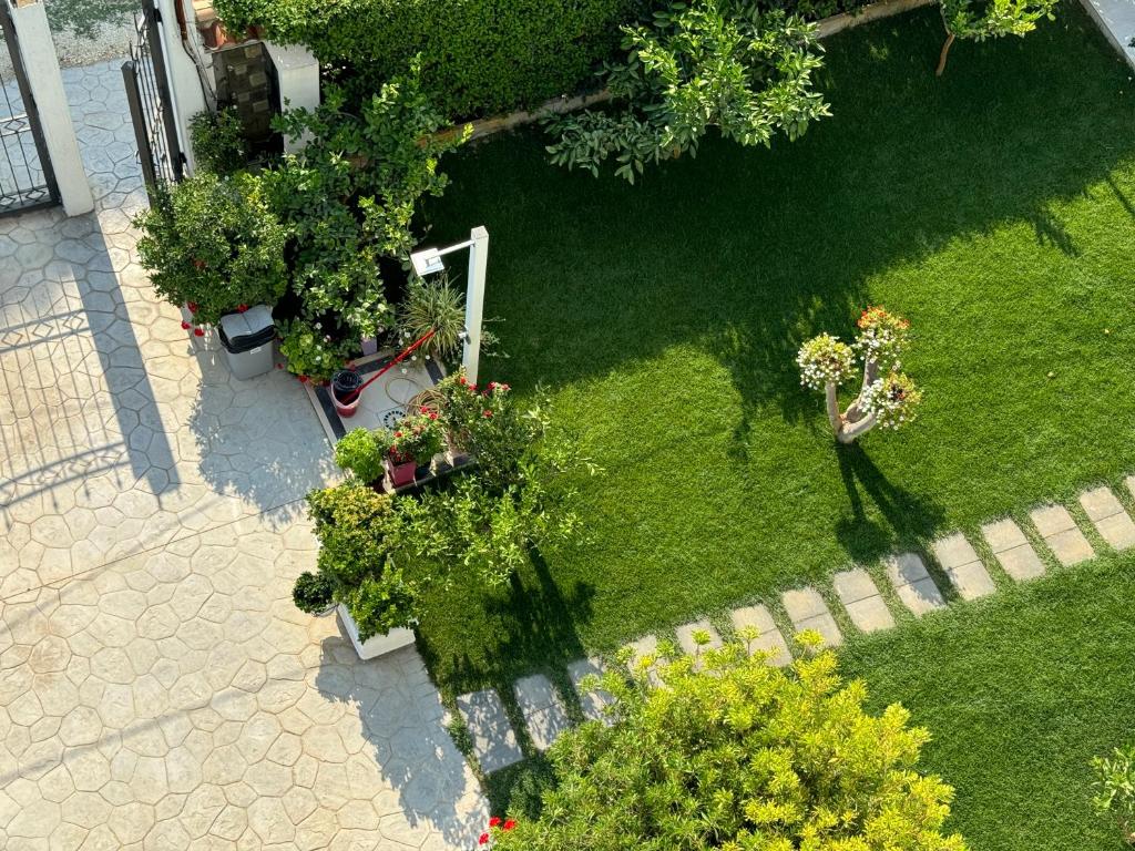 Zahrada ubytování Villa AX Mirage
