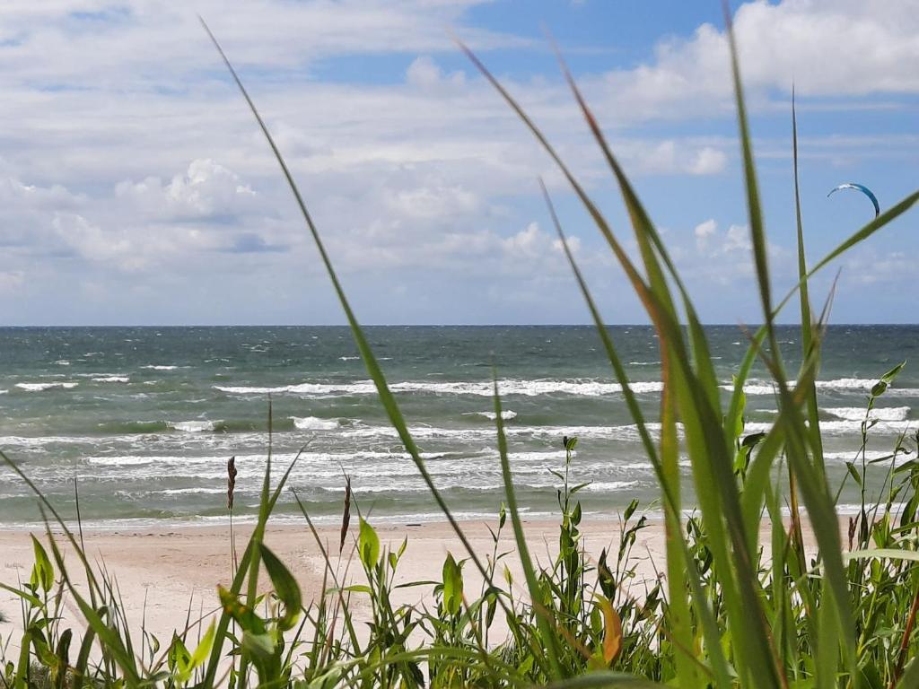 a beach with a view of the ocean at Sunny flat 250m from the beach in Liepāja