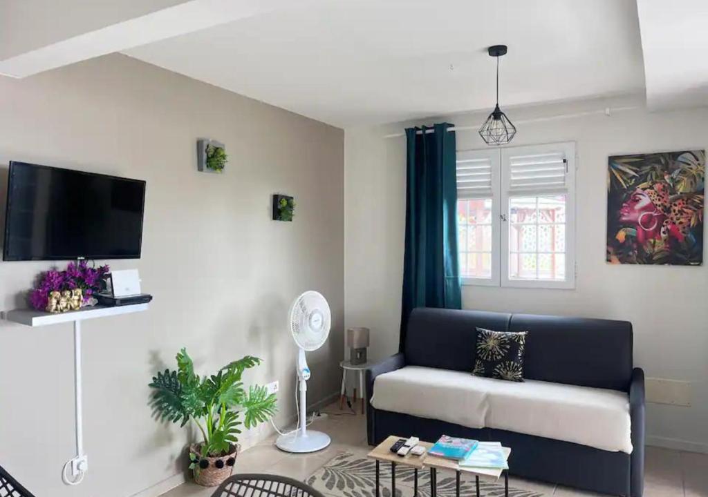 TV a/nebo společenská místnost v ubytování Les Tourterelles - Appartement vue mer & jacuzzi