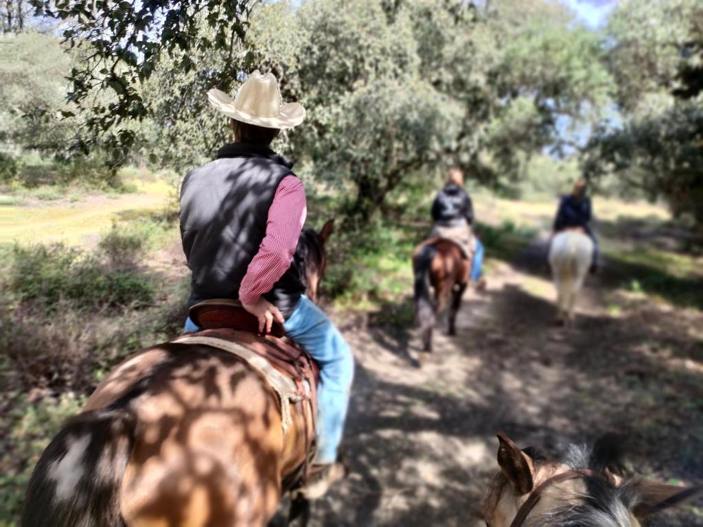 Hosté ubytování Cabaña rústica en un rancho con caballos, Prado del Rey, Andalucía