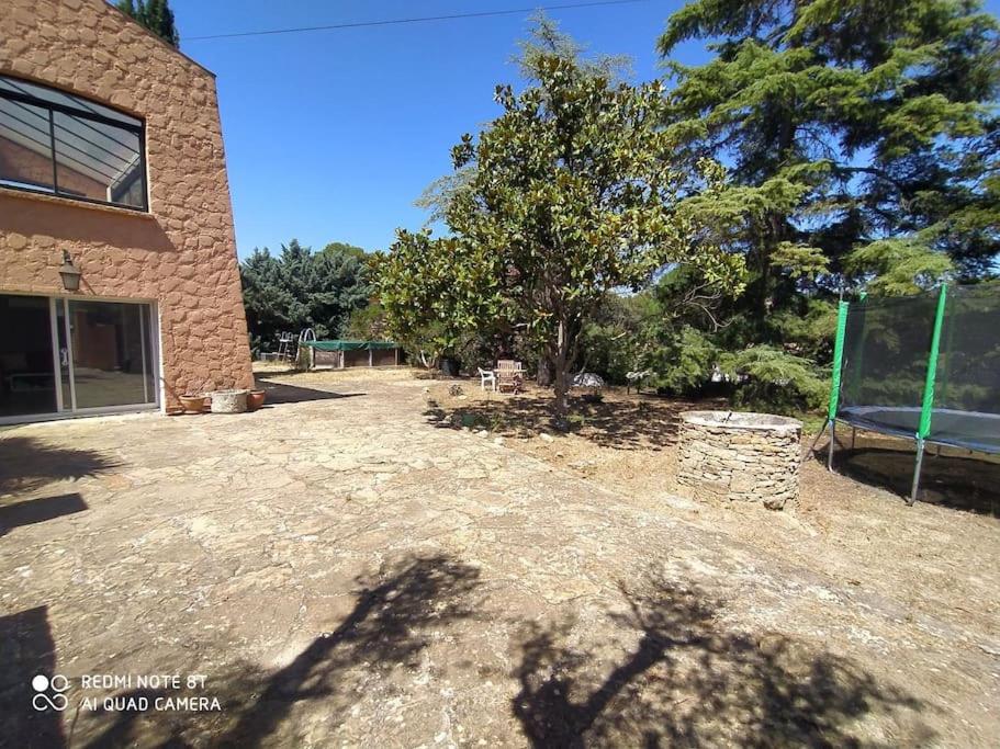 un grand jardin avec un arbre et un bâtiment dans l'établissement La cigalière, au Beausset