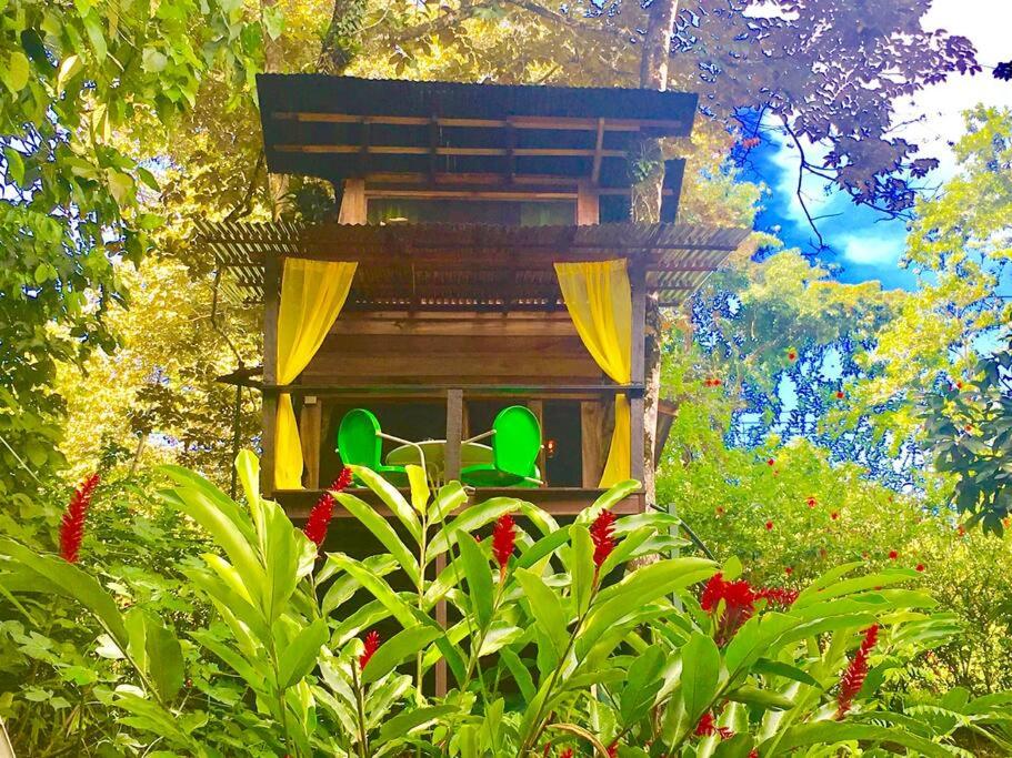Vonkajšia záhrada v ubytovaní Gecko Treehouse with Jungle View, Plunge Pool & WiFi