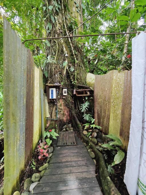 Vonkajšia záhrada v ubytovaní Gecko Treehouse with Jungle View, Plunge Pool & WiFi