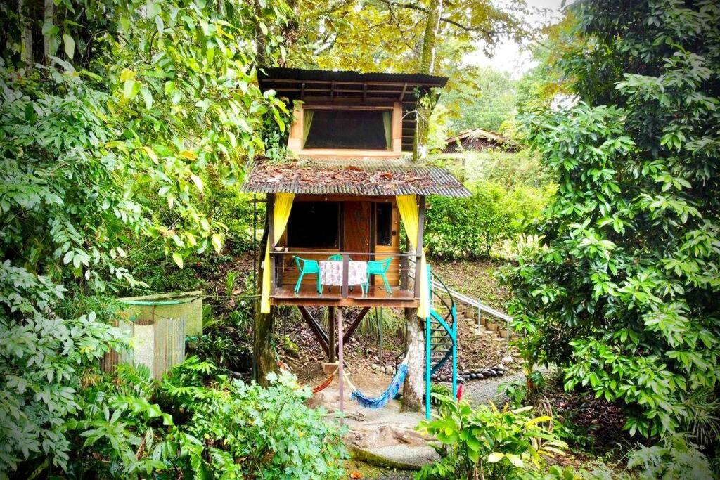 Vonkajšia záhrada v ubytovaní Gecko Treehouse with Jungle View, Plunge Pool & WiFi