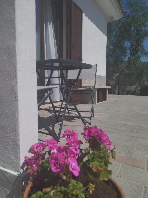 Fotografie z fotogalerie ubytování Al Centro Baia v destinaci Mattinata