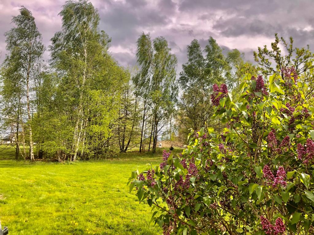 Zahrada ubytování Slow life Karkonosze