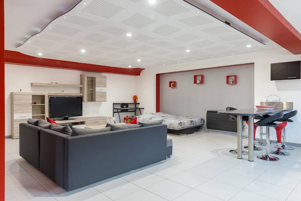 TV a/nebo společenská místnost v ubytování Spacieux appartement dans le vignoble