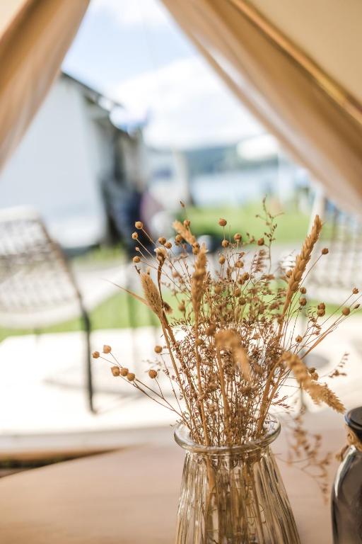 Zahrada ubytování Strandbad Steckborn mit Herberge, Camping & Glamping