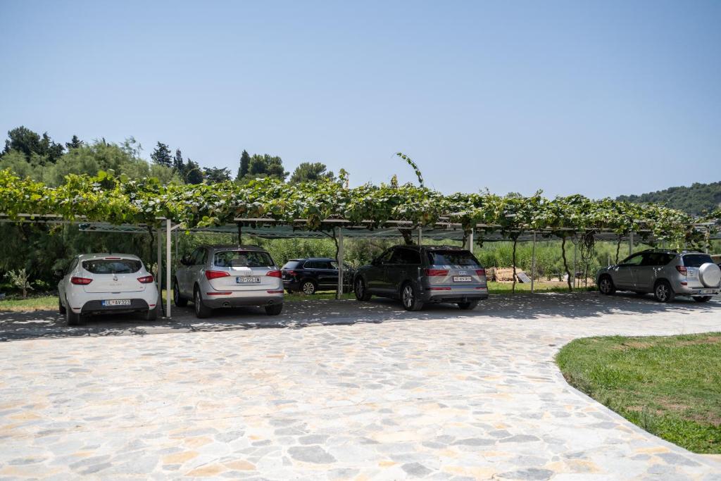Fotografie z fotogalerie ubytování Villa Antonio v destinaci Ulcinj