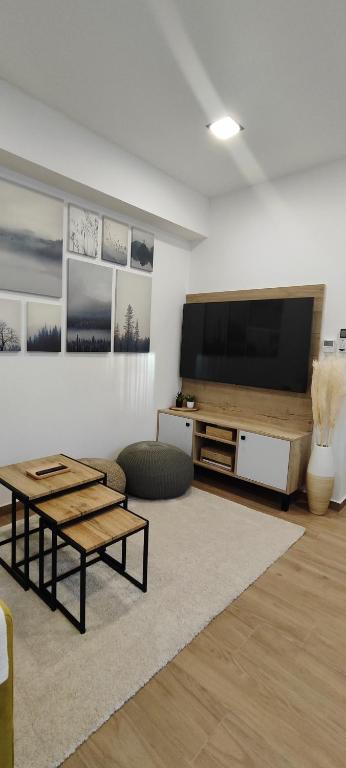 HANESI apartments Luhačovice - 带花园景观的一居室公寓