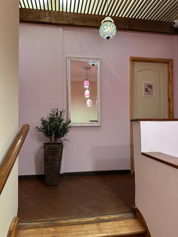 Fotografie z fotogalerie ubytování hostal flor de viña del mar v destinaci Viña del Mar