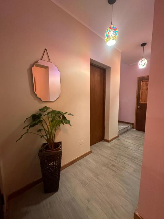 Fotografie z fotogalerie ubytování hostal flor de viña del mar v destinaci Viña del Mar