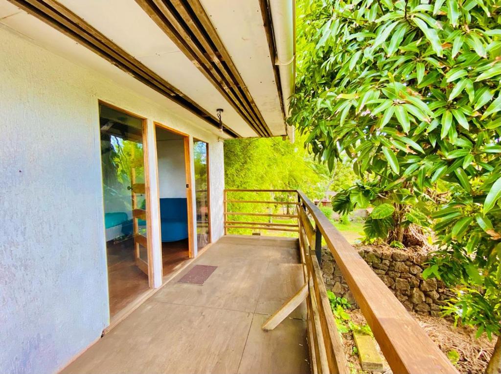 Zahrada ubytování Mata Nui Eco hostel