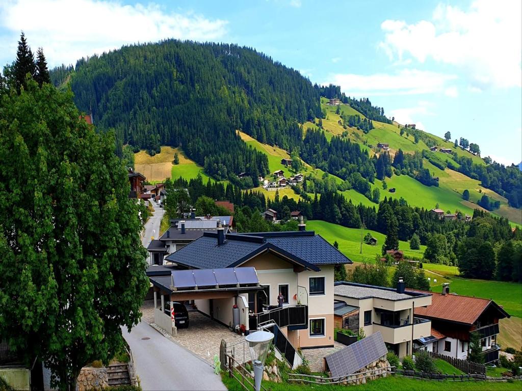 a small village on a hill with a mountain at Tirolee Marchegg EG Top 2 in Wildschönau