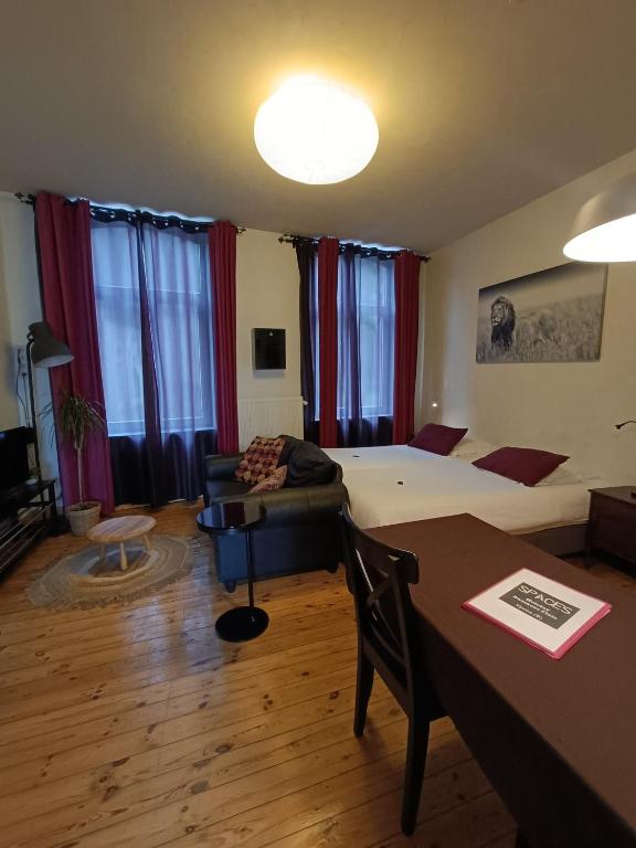 TV a/nebo společenská místnost v ubytování Apartment Spaces