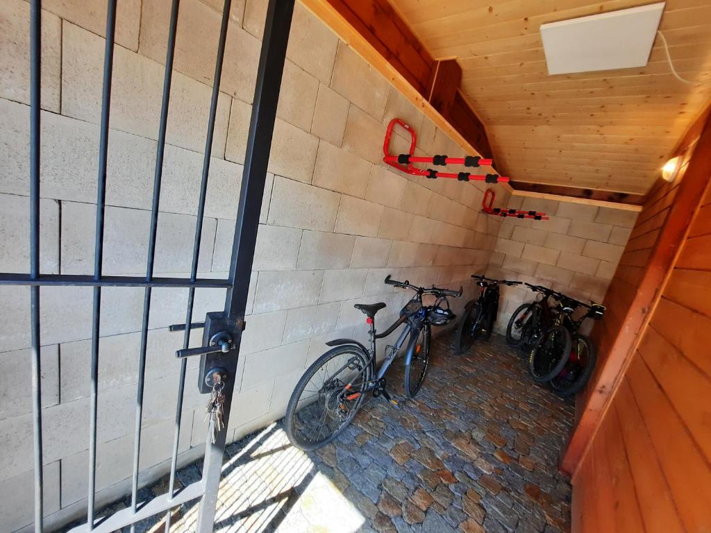 Jízda na kole v ubytování Nad Hřištěm 441 nebo okolí