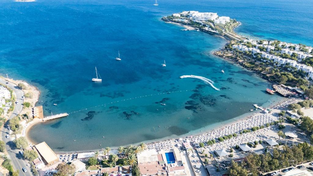 Φυσικό τοπίο κοντά σε αυτό το διαμέρισμα