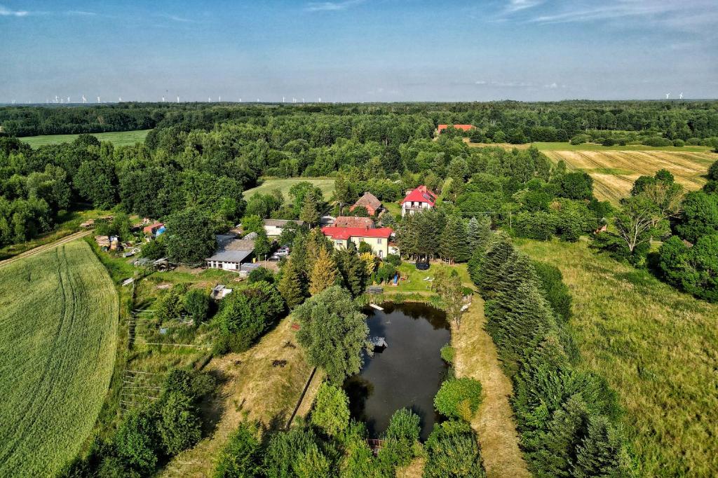 Przyroda w pobliżu tego gospodarstwa agroturystycznego