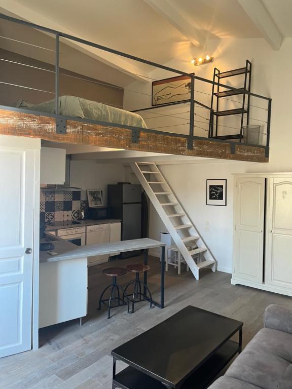 Il comprend un salon avec des lits superposés et une cuisine. dans l'établissement Le Loft de Roxane Centre historique Aix en Provence, à Aix-en-Provence