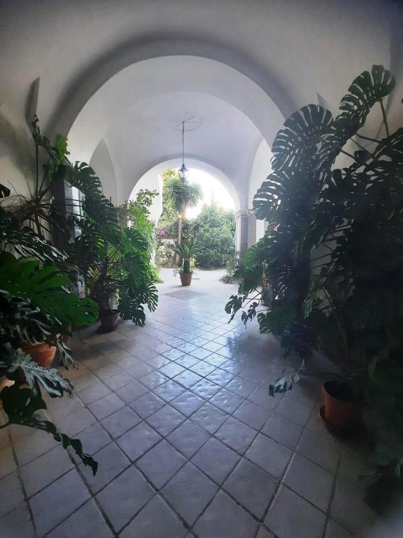 Zahrada ubytování La casa delle Camelie