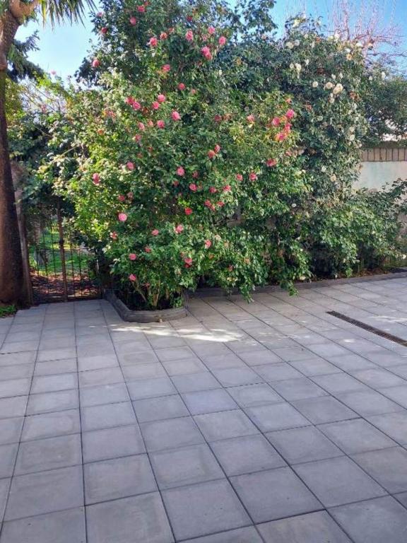 Zahrada ubytování La casa delle Camelie