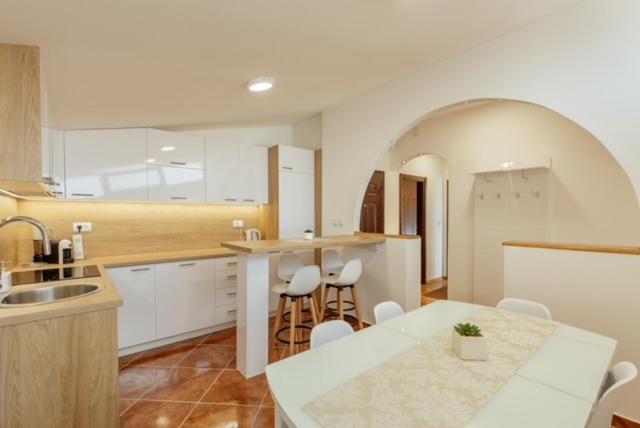 Kuchyň nebo kuchyňský kout v ubytování Vasiljevic Grand Apartment