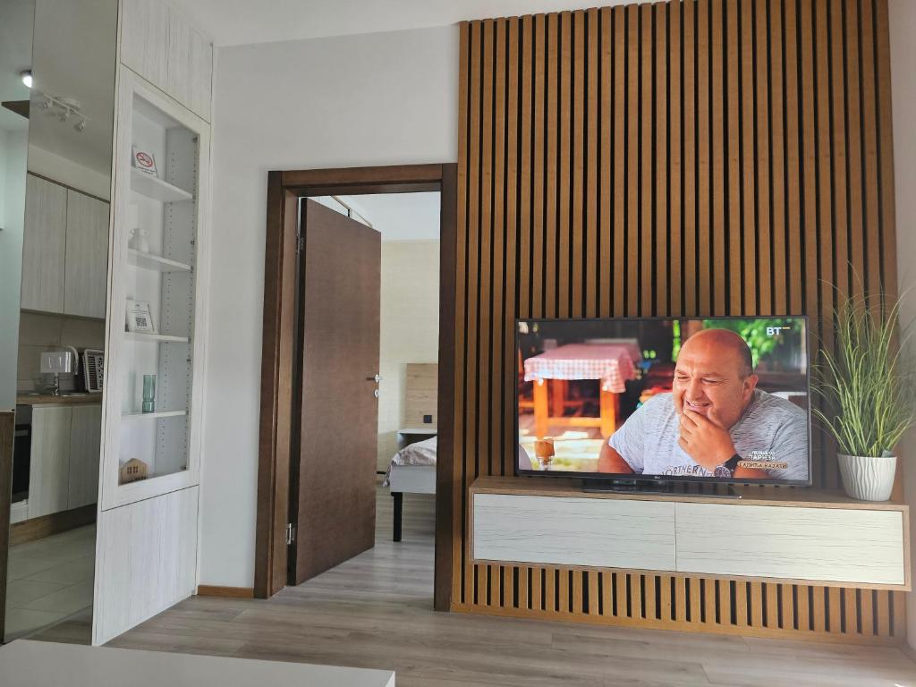 TV a/nebo společenská místnost v ubytování AquaVista Apartman sopstveni parking uz doplatu