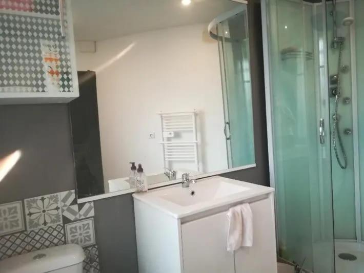 une salle de bain avec un lavabo, une douche et un miroir dans l'établissement Beau studio dans la Bastide, à Villeneuve-sur-Lot