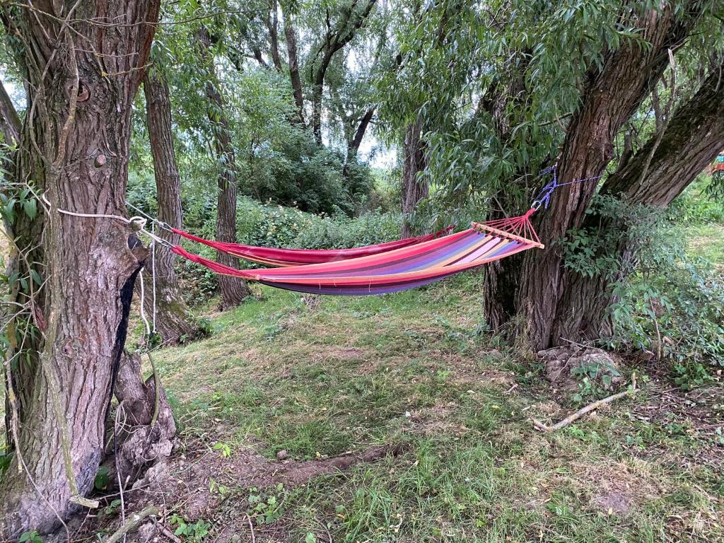 Zahrada ubytování Mini chatka s rybníčkem a saunou