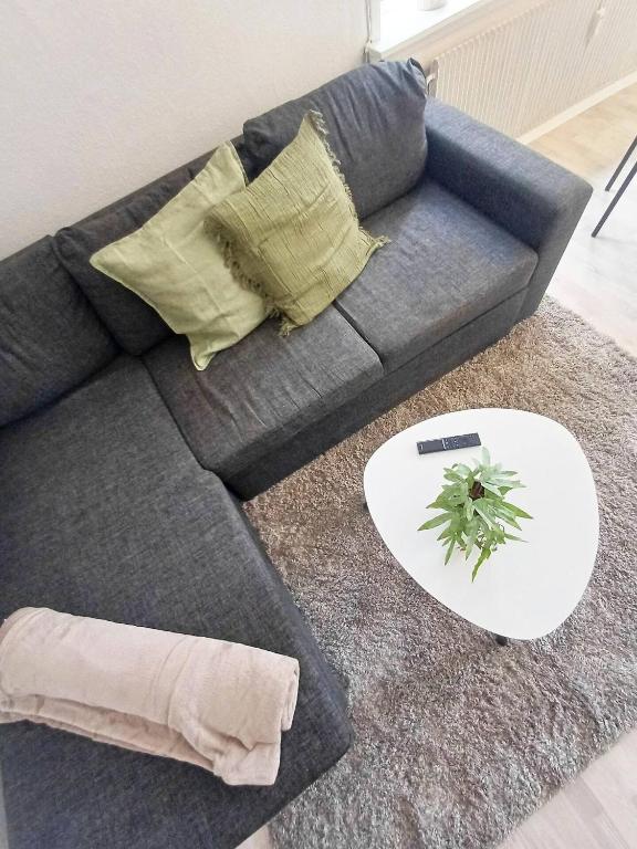 Posezení v ubytování Cozy 1 bedroom apartment B