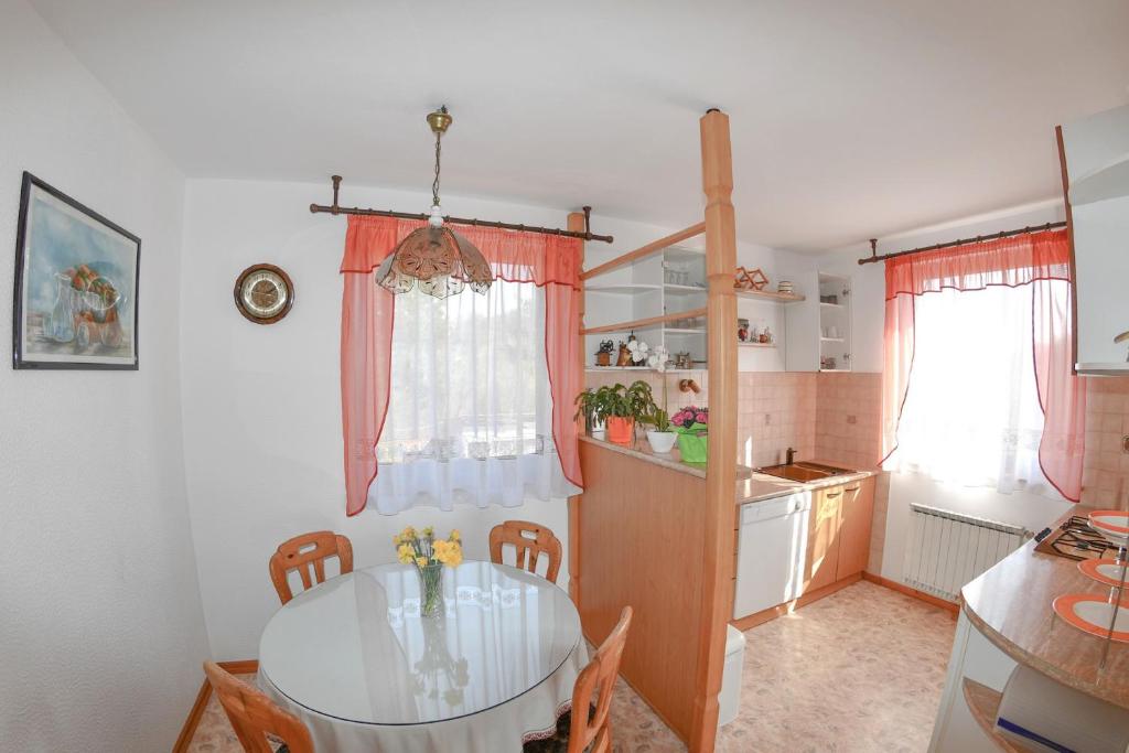 Kuchyň nebo kuchyňský kout v ubytování Apartma Breza