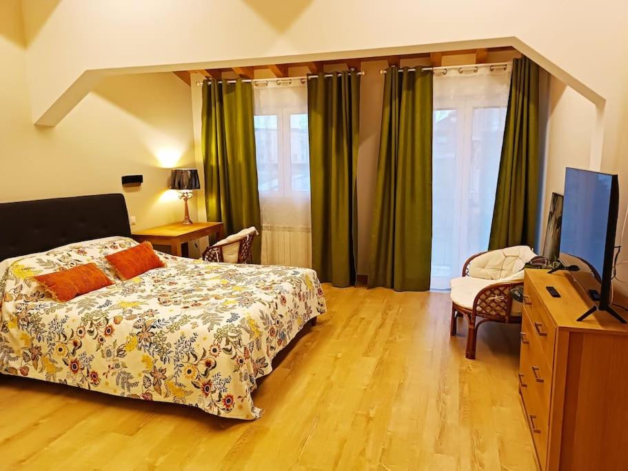 a bedroom with a bed and a television in it at Bellavista in Santander