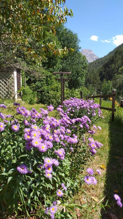 Príroda v okolí apartmánu