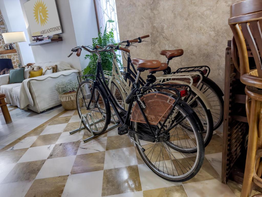 Jízda na kole v ubytování Hotel Argantonio nebo okolí