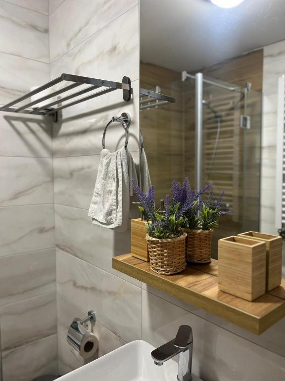 Koupelna v ubytování Apartman Borovi 14
