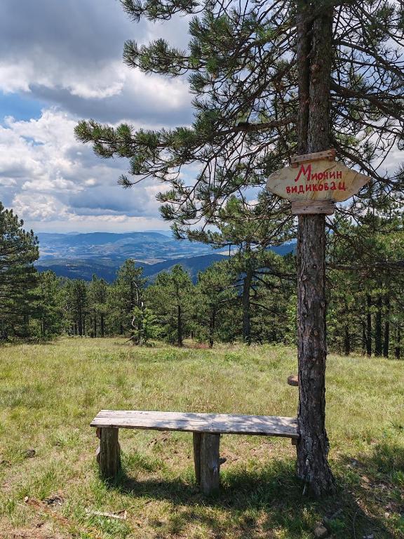Příroda nedaleko apartmánu