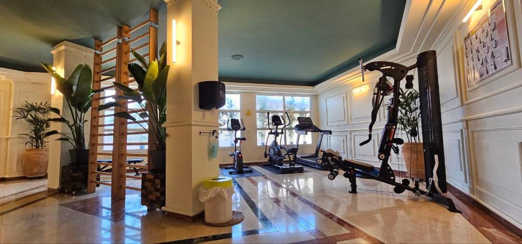 Fitness centrum a/nebo fitness zařízení v ubytování Hotel Vista Odin