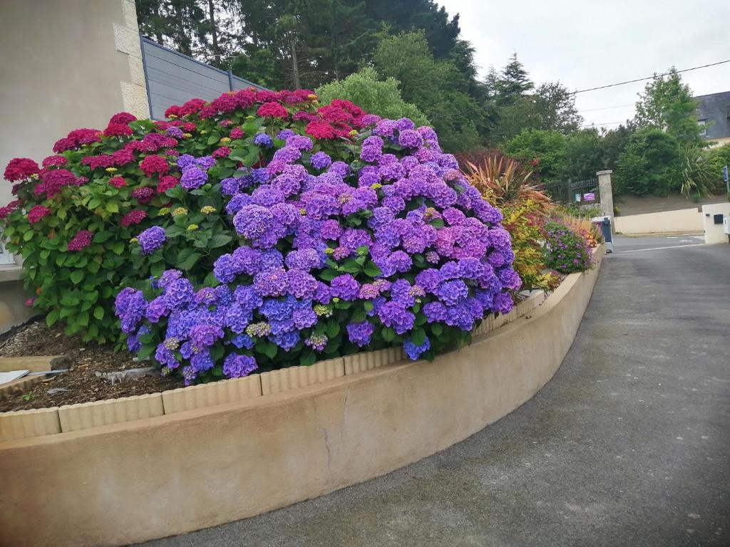 gîte vacances - Housity