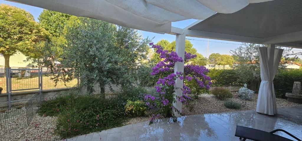 Vonkajšia záhrada v ubytovaní Apartman Magnolija Umag