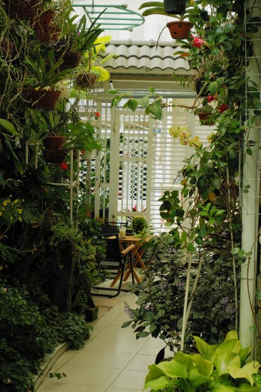 Vườn quanh 296 Cetete - Home in Dalat