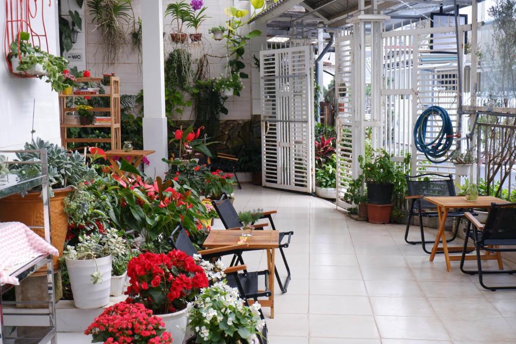 Vườn quanh 296 Cetete - Home in Dalat