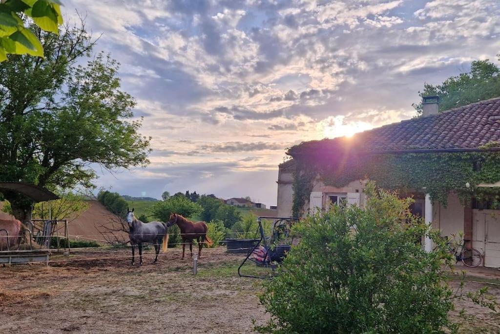 deux chevaux debout dans un champ à côté d'une maison dans l'établissement Grande Maison de Campagne, à Saint-Vincent
