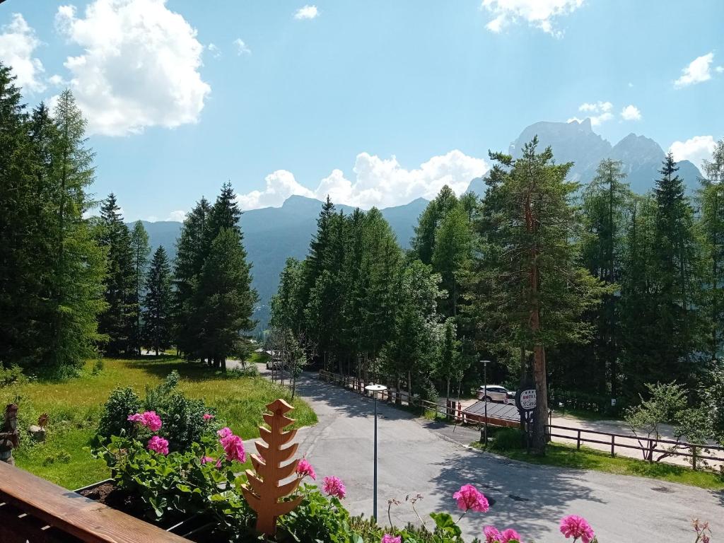 Příroda nedaleko hotelu