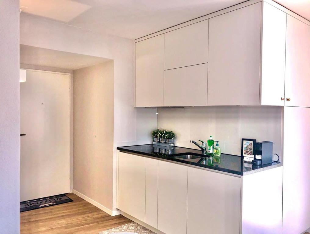 Kuchyň nebo kuchyňský kout v ubytování KAYA Apartments M07 - Deluxe Studio Apt in Old Town Zurich