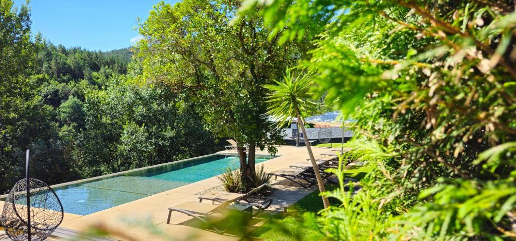 a swimming pool with chairs and trees in a yard at Rio Moment's in Castelo de Paiva