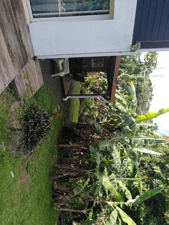 an overhead view of a garden with plants next to a building at Studio dans la forêt tropicale in Les Anses-dʼArlets