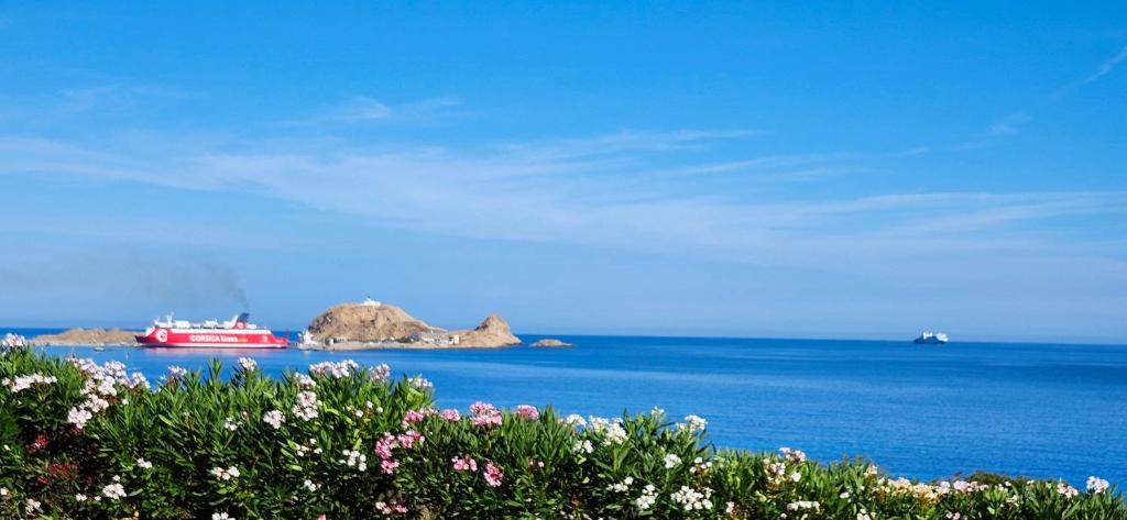 un bateau rouge dans l'océan avec des rochers dans l'eau dans l'établissement Ile Rousse Guardiola T2 les pieds dans l eau, à Monticello