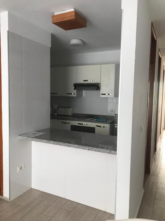 Kuchyň nebo kuchyňský kout v ubytování Apartamentos Quintero – Adults Only