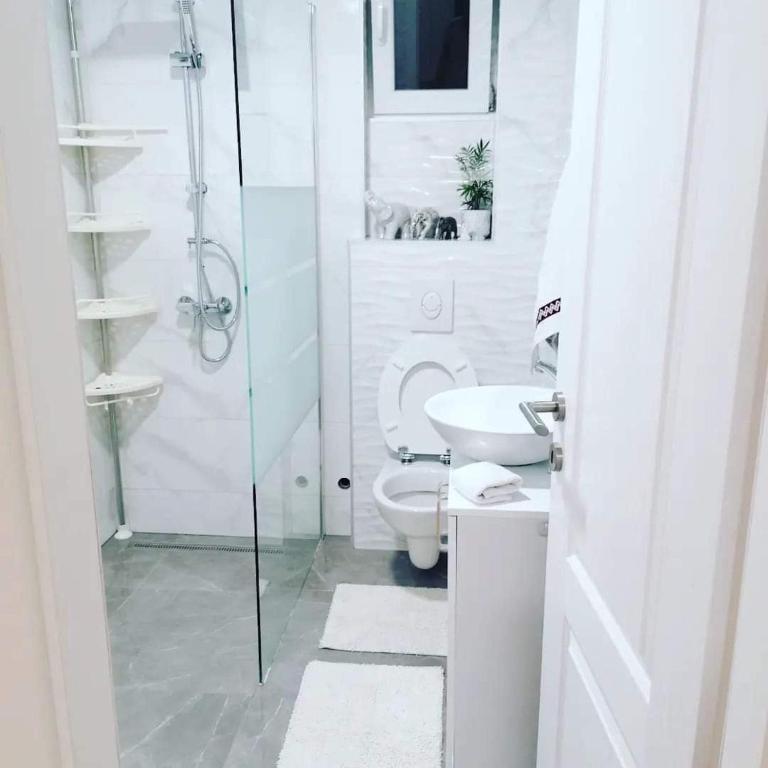 Koupelna v ubytování Apartments Hasanovic Rukavac