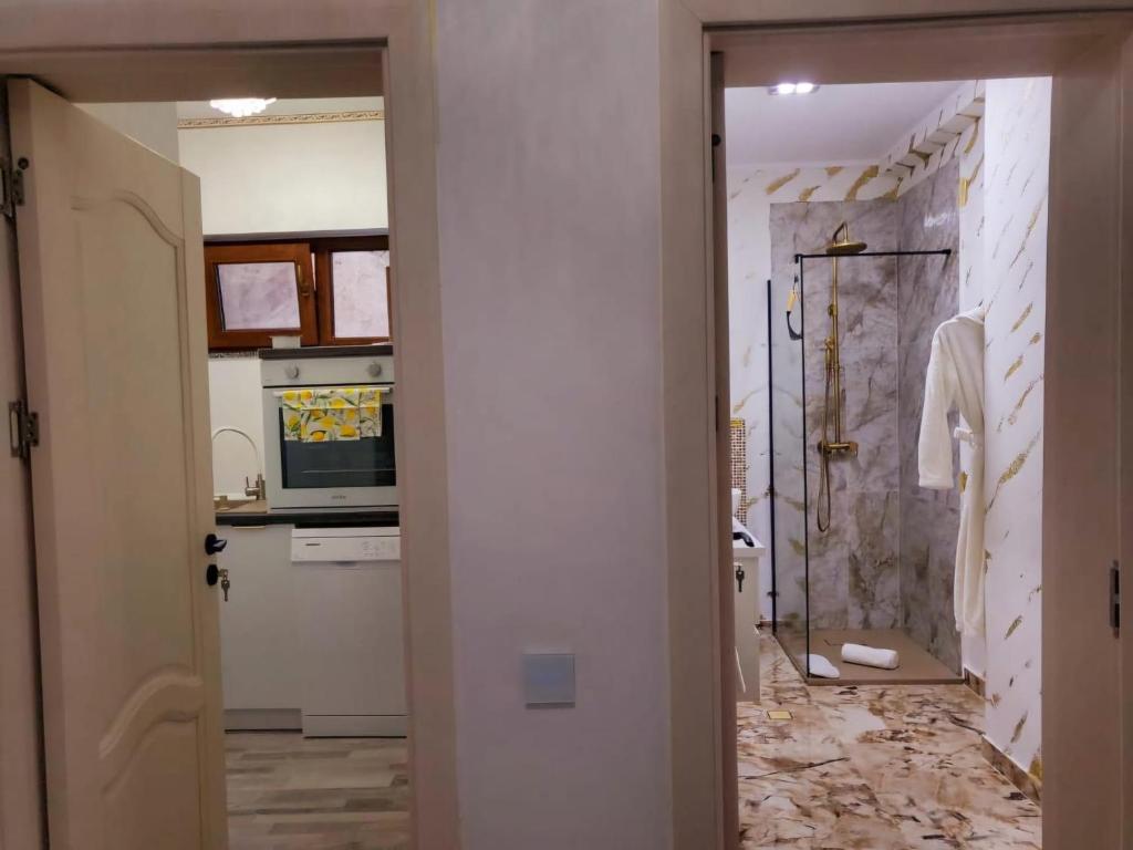 a bathroom with a shower and a kitchen at Lemon Breeze in Constanţa